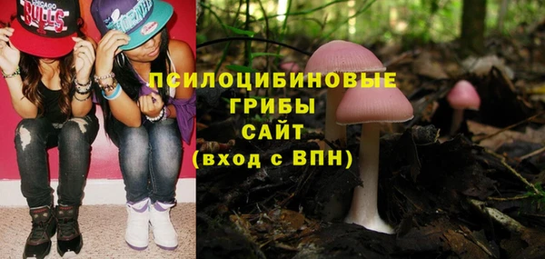 mdpv Алзамай