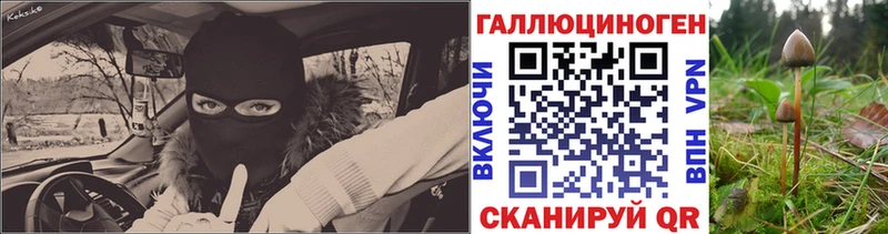 Псилоцибиновые грибы прущие грибы Кирс